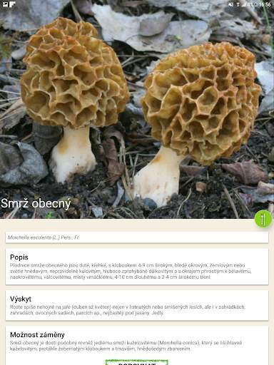 Aplikace na houby screenshot 10
