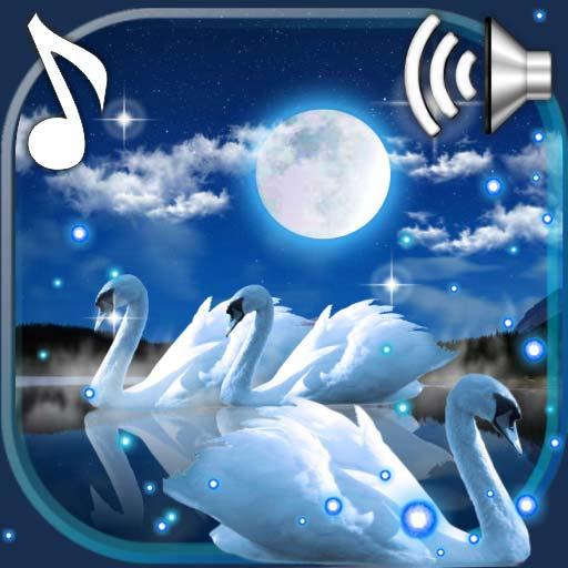 Swans Night icon