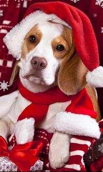 Christmas Dog live wallpaper screenshot 2