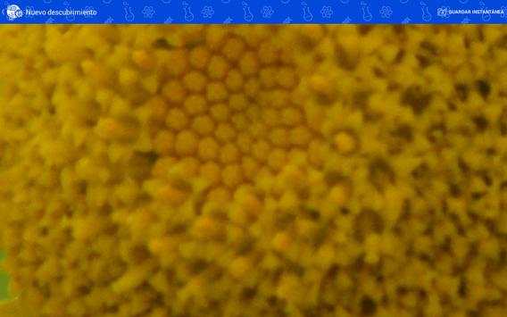 i-wow microscope wifi App screenshot 7