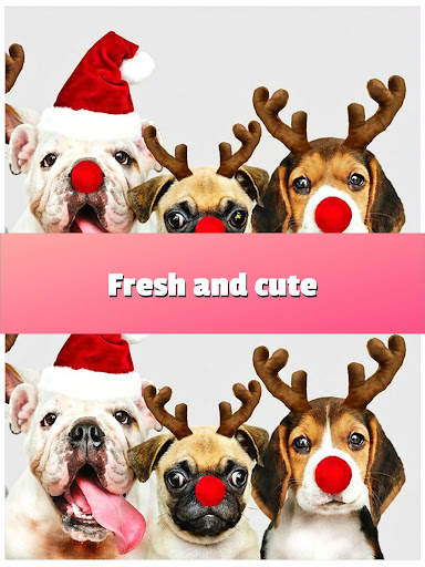 Find The Differences 500 Photos 2 screenshot 8