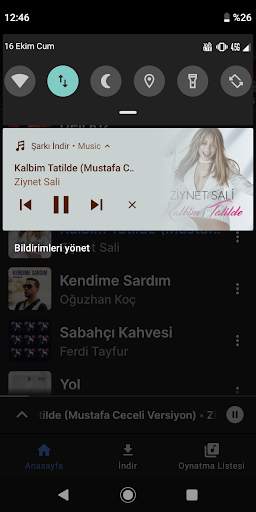 تحميل الموسيقى مجانا screenshot 4