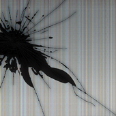 Wallpaper Cracked Screen icon