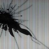 Wallpaper Cracked Screen 1.0