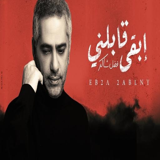 The song Stay Meet Me by Fadel Shaker icon