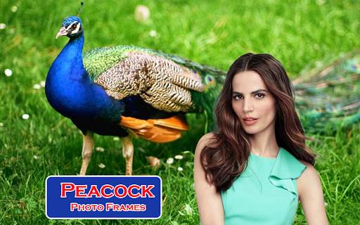 Peacock Photo Frames screenshot 5