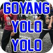 Goyang Yolo Yolo 1.0