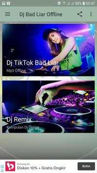 Dj Bad Liar - Tiktok Offline screenshot 2