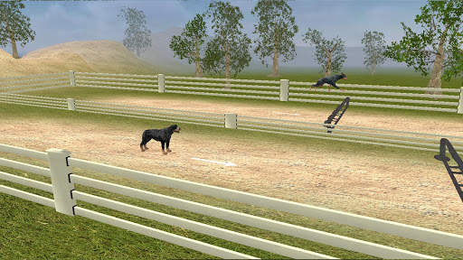 Rottweiler Dog Life Simulator screenshot 4
