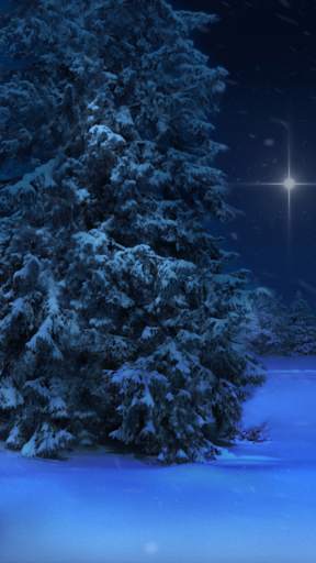 Diggin Winter Live Wallpaper screenshot 4