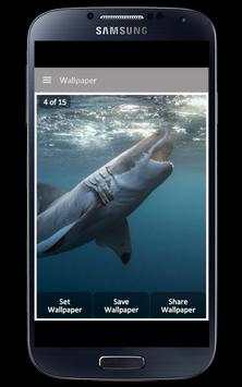 Shark Wallpaper स्क्रीनशॉट 3