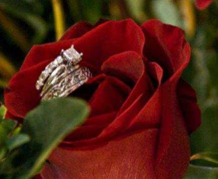 Wedding Ring Ideas screenshot 3