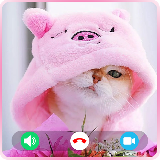 Cat Fake Video Call : Fake Call Video Cat Game icon