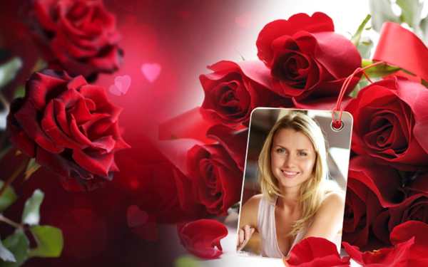 Rose Photo Frame screenshot 1