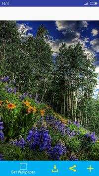 Nature Images For DP 3 تصوير الشاشة