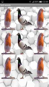 Bird sound screenshot 2