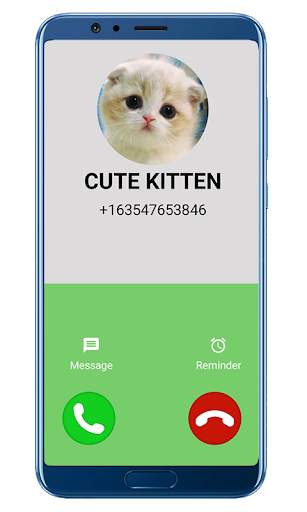 Fake Call Video Cat - simulator screenshot 1