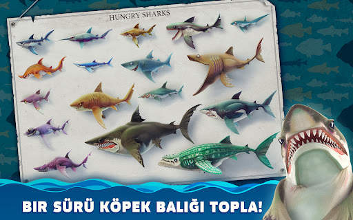 Hungry Shark World screenshot 8