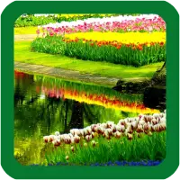 Spring Flower Live Wallpaper icon