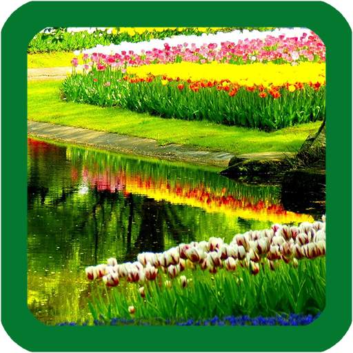 Spring Flower Live Wallpaper 1.4
