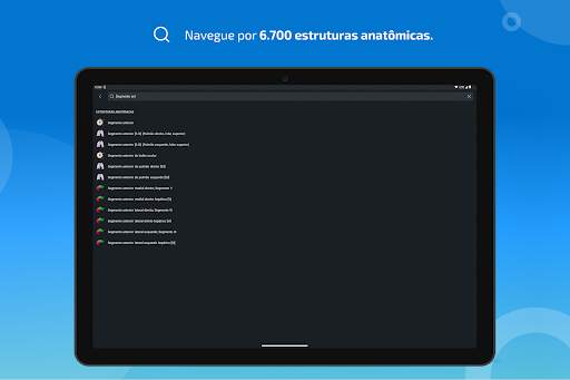 e-Anatomy screenshot 11