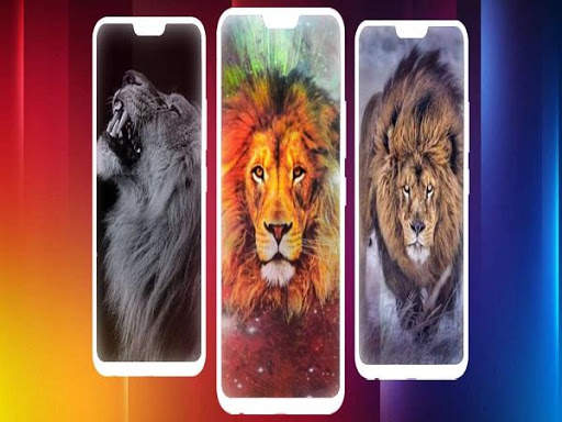 Lion Wallpaper screenshot 1