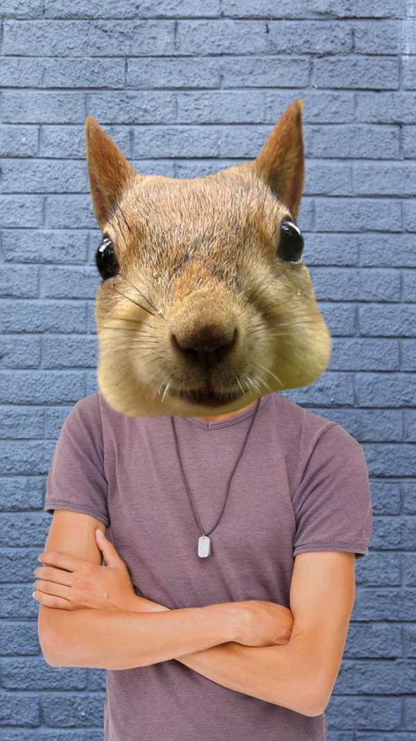 Animal Face Photo Changer 4 تصوير الشاشة