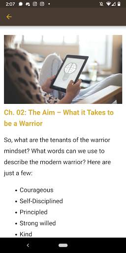 Warrior Mindset скриншот 3