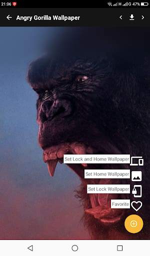 Angry Gorilla Wallpaper स्क्रीनशॉट 4
