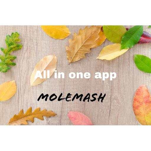 MoleMash 1.0