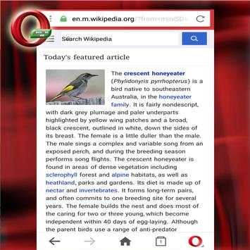 Guide Opera Mini Browsers 2017 screenshot 5