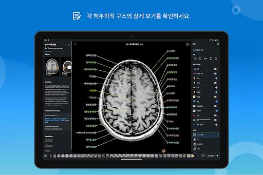 e-Anatomy screenshot 13