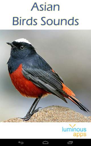 Asian Birds Sounds Free screenshot 9