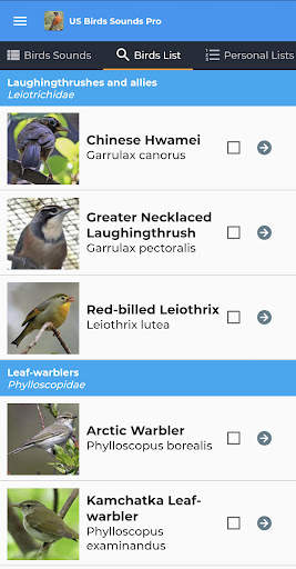 American Birds Sounds Pro screenshot 6