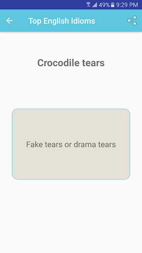 Top English Idioms screenshot 2
