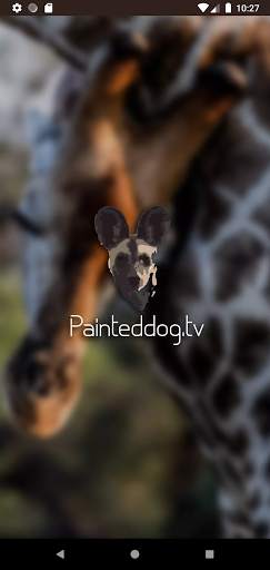 Painted Dog TV screenshot 1