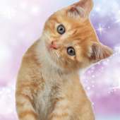 Animal stickers for photos logo
