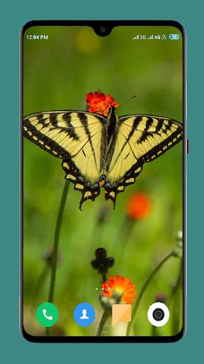 Butterfly Wallpaper 4K screenshot 13
