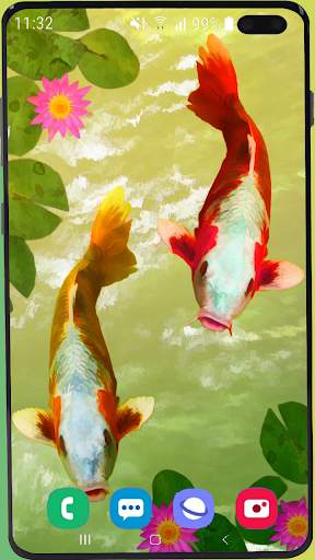 Fish Wallpaper HD screenshot 8