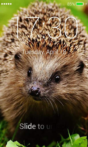 Hedgehog Lock Screen screenshot 5