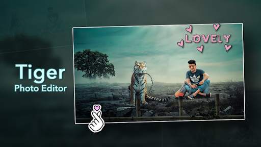 Tiger Photo Editor screenshot 2