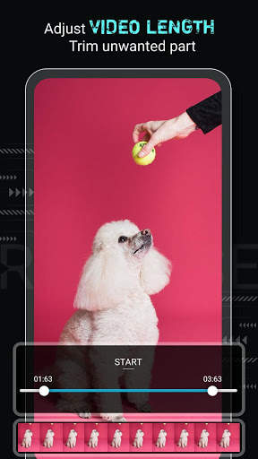 Reverse video maker - Rewind & Loop video screenshot 3