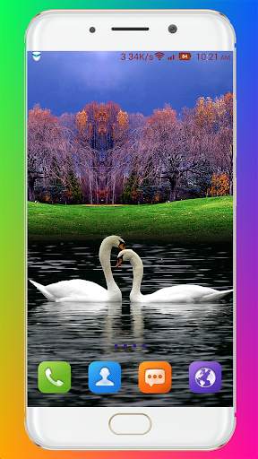 Swan Wallpaper HD screenshot 16