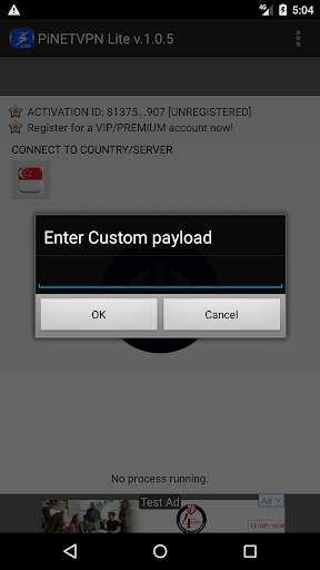 PiNETVPN - LITE screenshot 4
