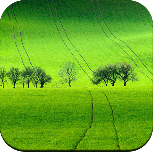 Field Wallpaper icon
