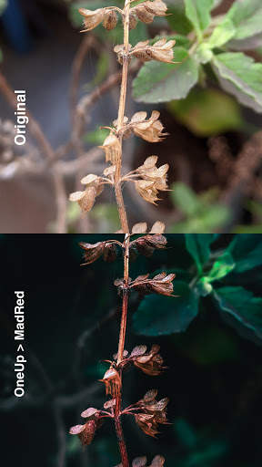 Presets Room - Free xmp presets for Lightroom screenshot 4