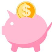 My Cash Flow 1.3
