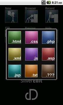 SilverEdit Lite screenshot 2