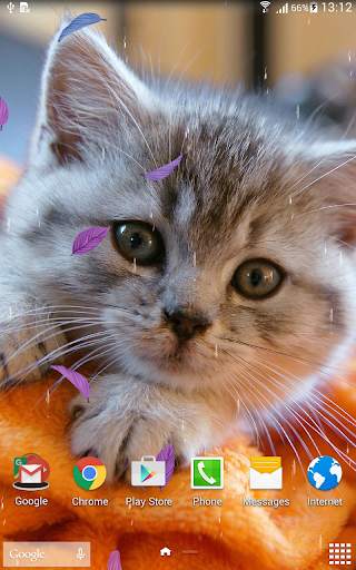Animals Cute Live Wallpaper screenshot 7