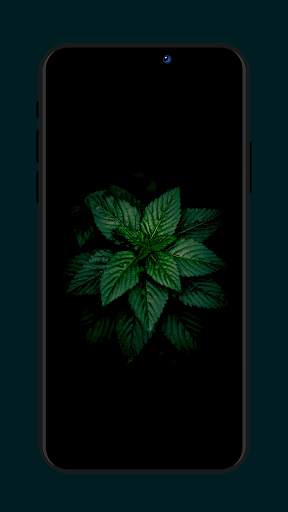 HD Wallpapers screenshot 20